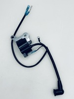 Зажигание в сборе для бензотриммера Carver GBC-31F 01.011.00196