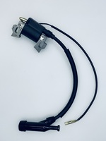 Катушка зажигания HY3100LE Hyundai 015246
