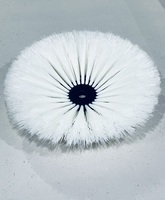 Боковая щетка, мягкая, 450 мм, Karcher 6.906-133.0