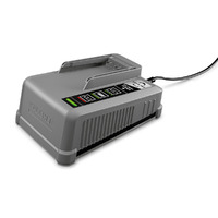 Универсальное зарядное устройство Karcher Battery Power+ 18-36, 2.445-054.0