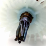 Ротор (L57/Ф43 кол.Ф28/5зуб.) поз. 58 для торцовочной пилы Patriot MS 255 (2019) (013540631)