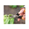 Ножницы для овощей Solid™  SP240 Fiskars 1063327